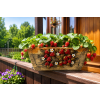 ChatGPT Image 15. 8. 2026 11 40 44