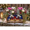 02 aranzma 1