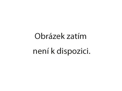 Dlažba RAKO Trend DAK44656 45x45 cm