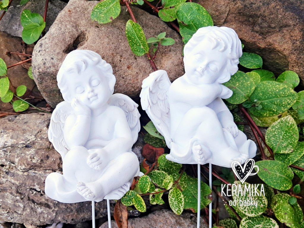 Anděl zápich mrazuvzdorný