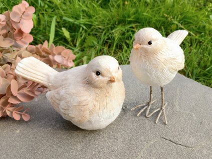 Ptáčci s třpytkami