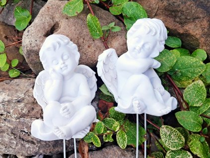 Anděl zápich mrazuvzdorný