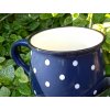 Hrnek modrý s puntíky 0,7l