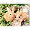 Zajíček, sada 2 kusů