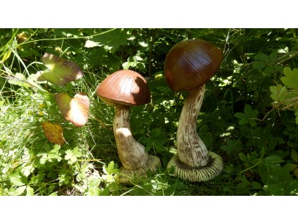 P7040335