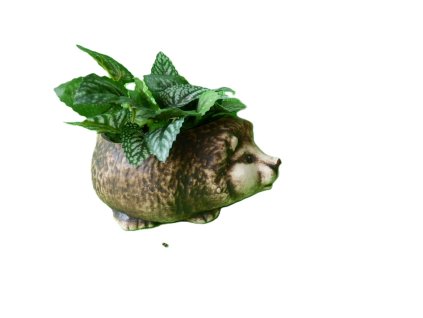 kv.mini jež