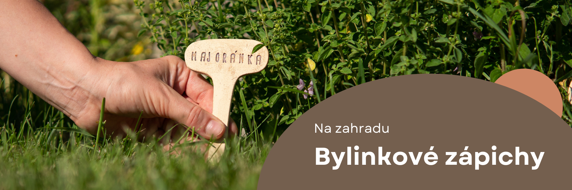 Bylinkové zápichy