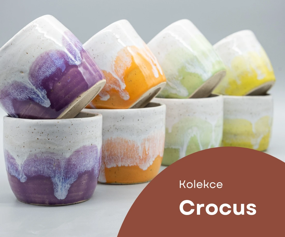 Kolekce Crocus