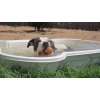 Bazén pro psy 280 L