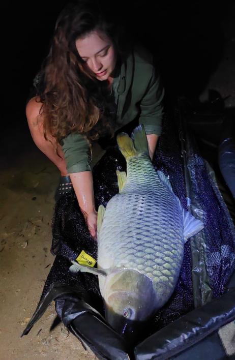 Vissen in een stuwmeer - test van het nieuwe karperlandingsnet Carp Fencl Premium