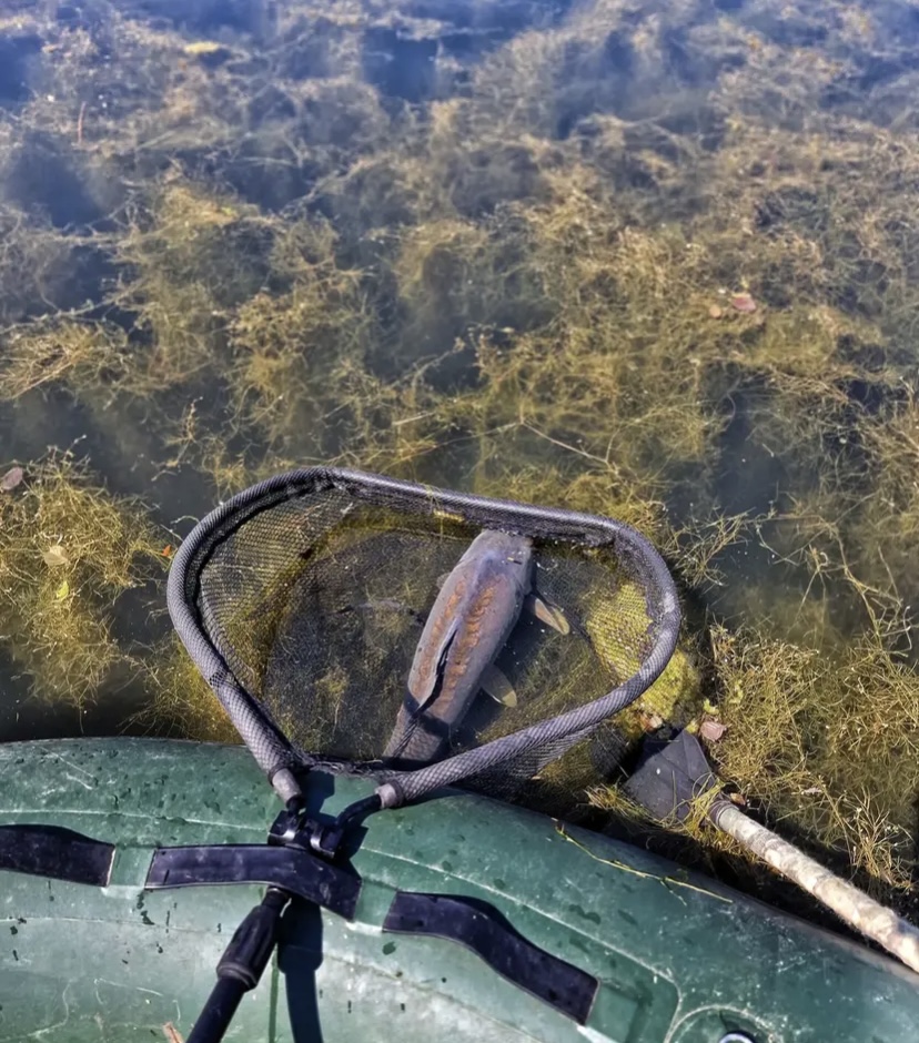 User rating of the Max landing net