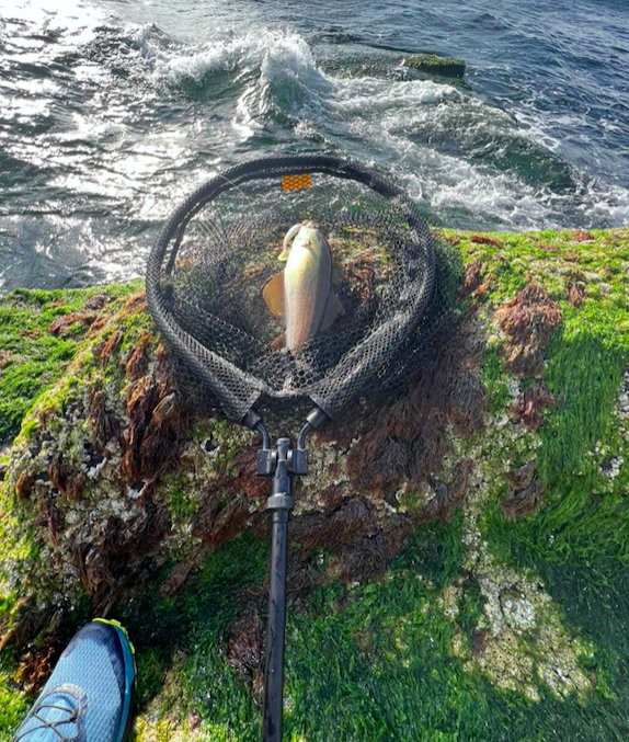 Pêche dans un canal