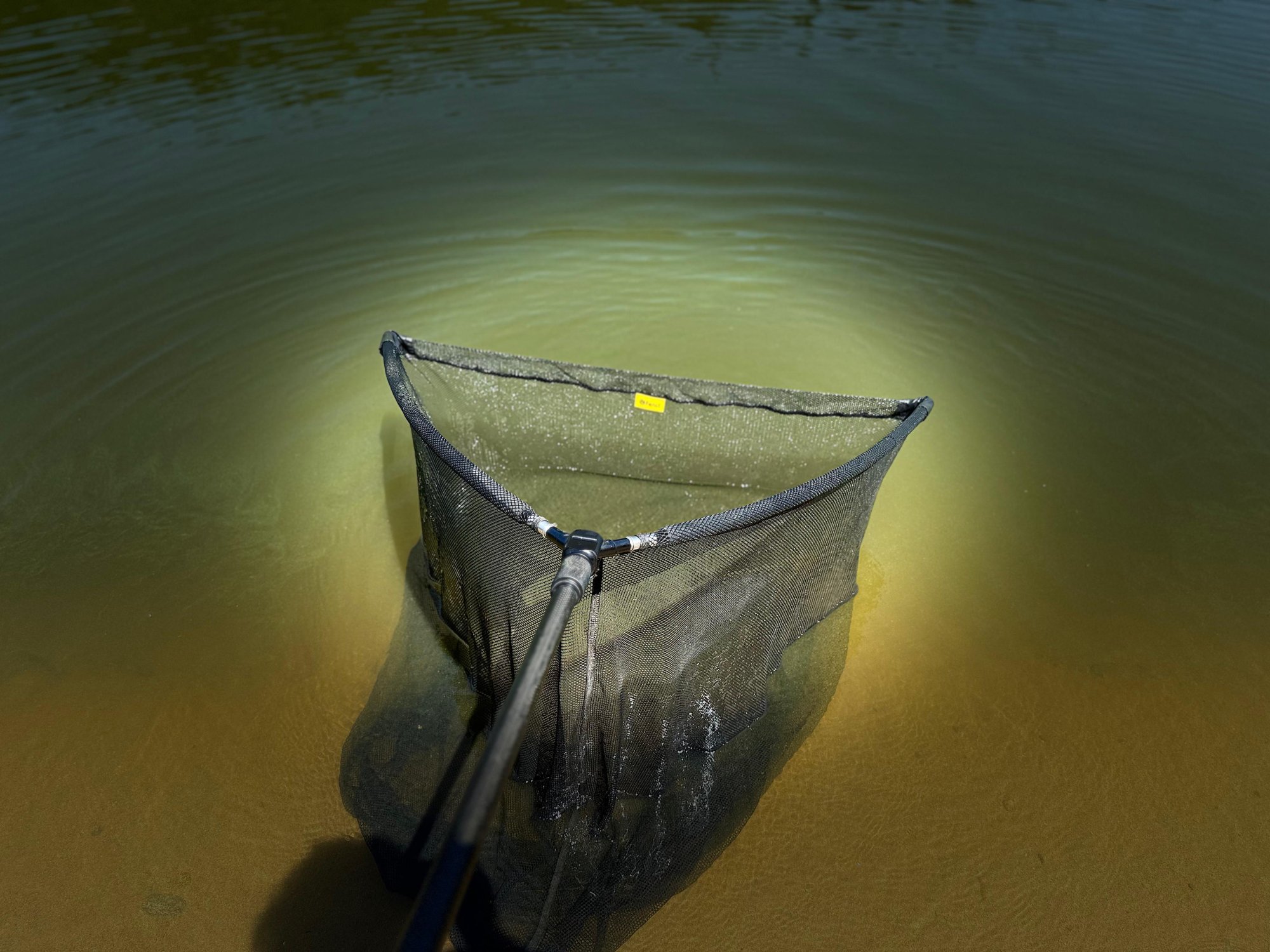 Wie wählt man den perfekten Karpfenkescher? – Der Fencl® Carp Premium im Fokus