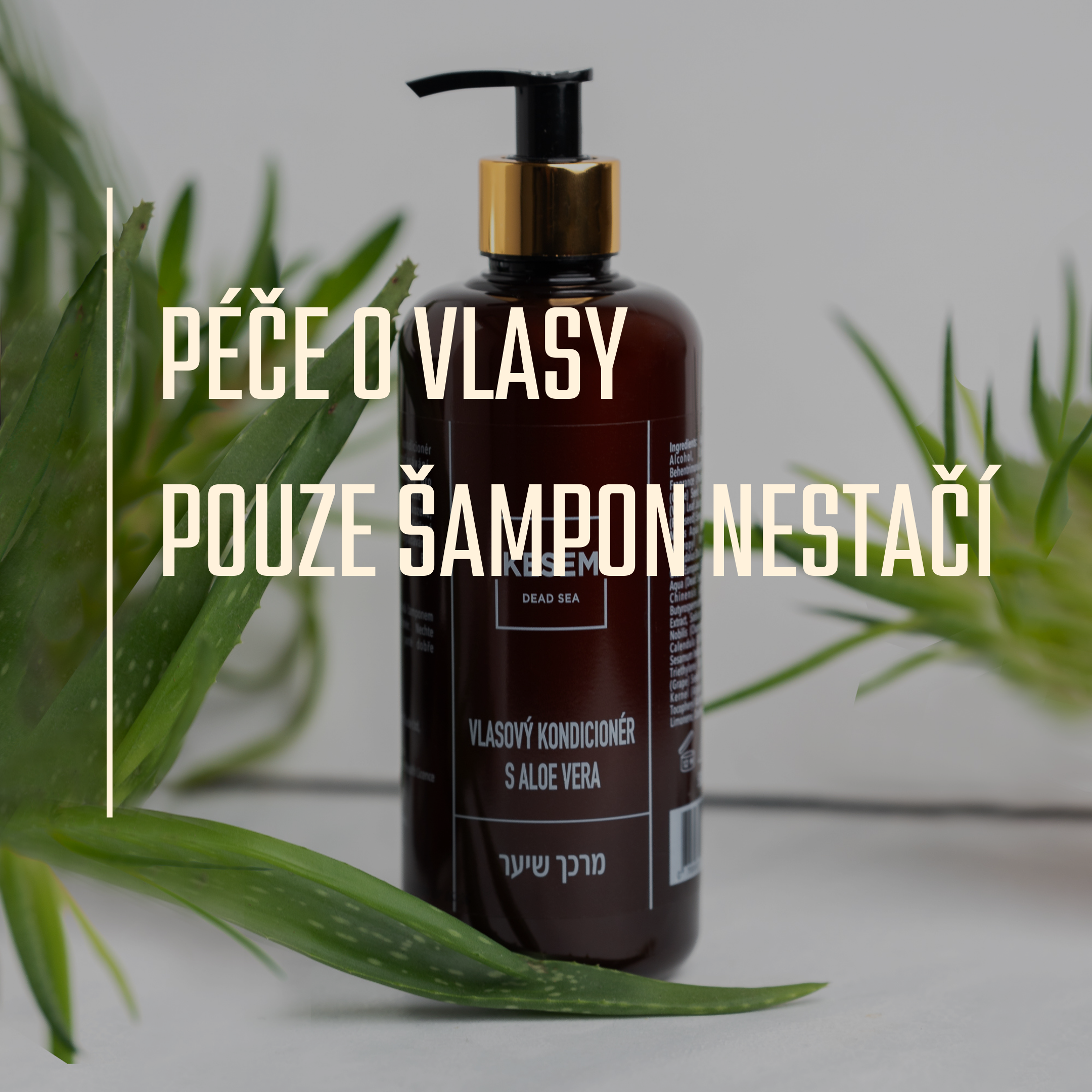 PÉČE O VLASY - POUZE ŠAMPON NESTAČÍ