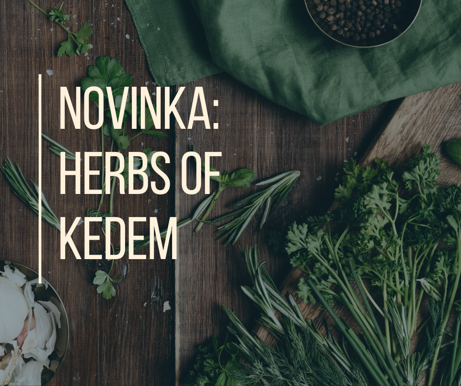 Novinka na našem eshopu: Kosmetika HERBS OF KEDEM