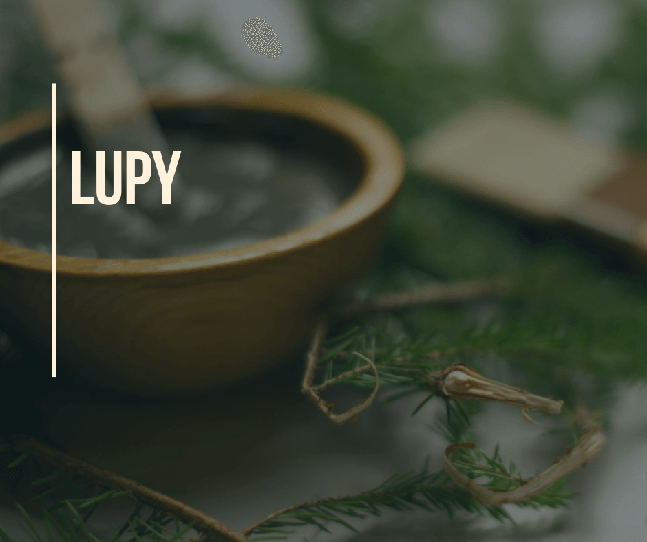 Lupy