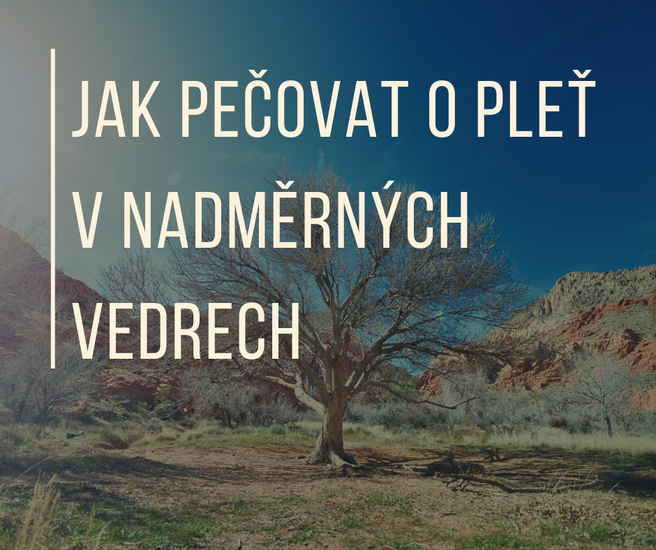 JAK PEČOVAT O PLEŤ V NADMĚRNÝCH VEDRECH