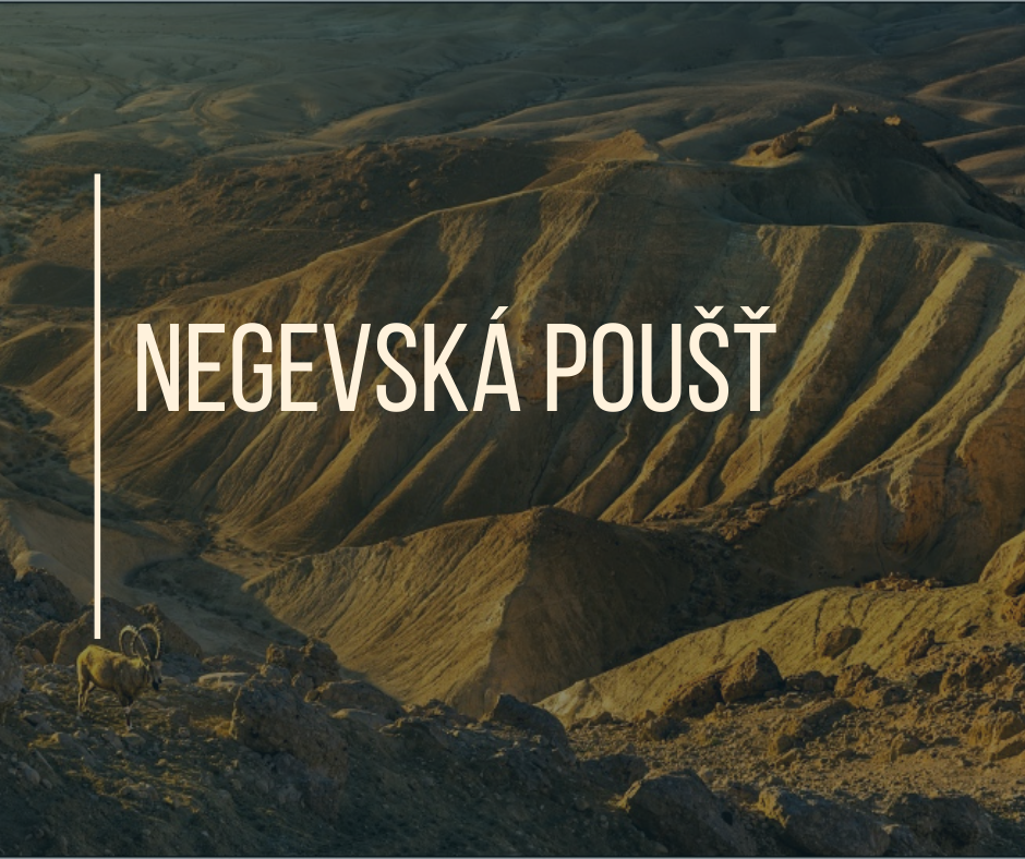 NEGEVSKÁ POUŠŤ