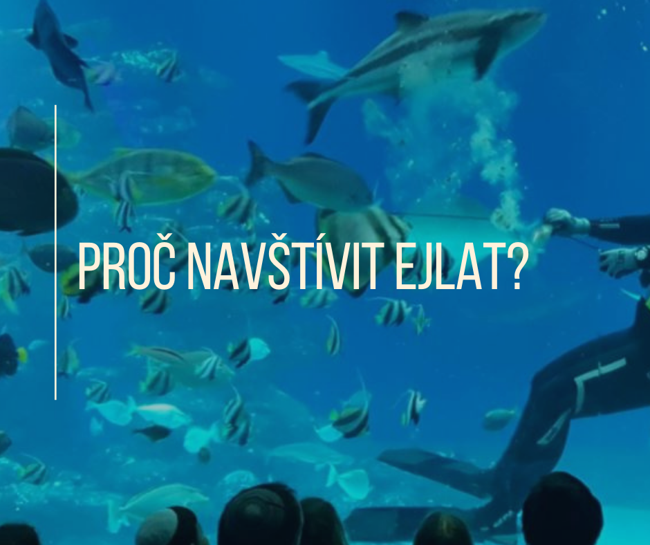 PROČ NAVŠTÍVIT EJLAT?