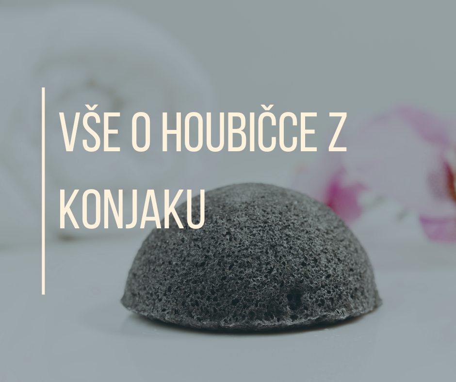 VŠE O HOUBIČCE Z KONJAKU