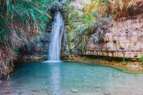 53534924-Izrael-.-Ein-gedi