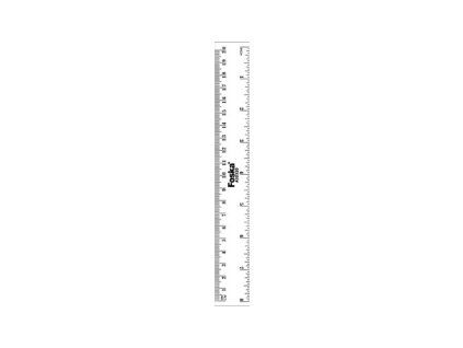 pravitko 20 cm (1)