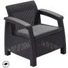 17197358 corfu ii chair 8786 rgb