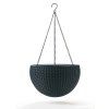 17199246 hanging sphere planter 6193 rgb
