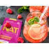 nat20 pruvit baca linet ezavislý promoter 3