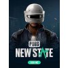 PUBG New State 300NC - NewState klíč