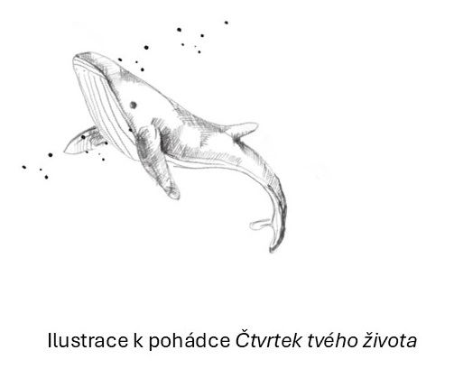 velryba