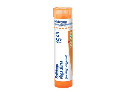 Solidago virga aurea 15
