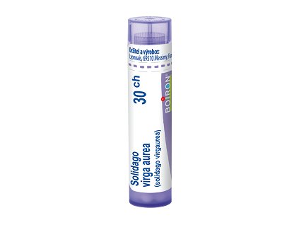 Solidago virga aurea 30