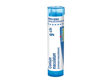 Conium maculatum 9