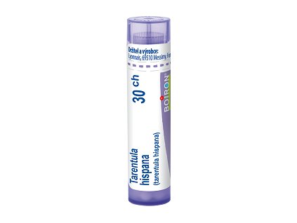 Tarentula hispana 30