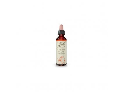 6 Chrery plum