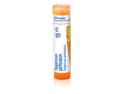 Hypericum perforatum 15