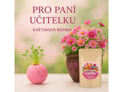 Snímek obrazovky 2025 06 16 213504