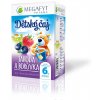 Megafyt Dětský čaj jahoda a borůvka 20x2g