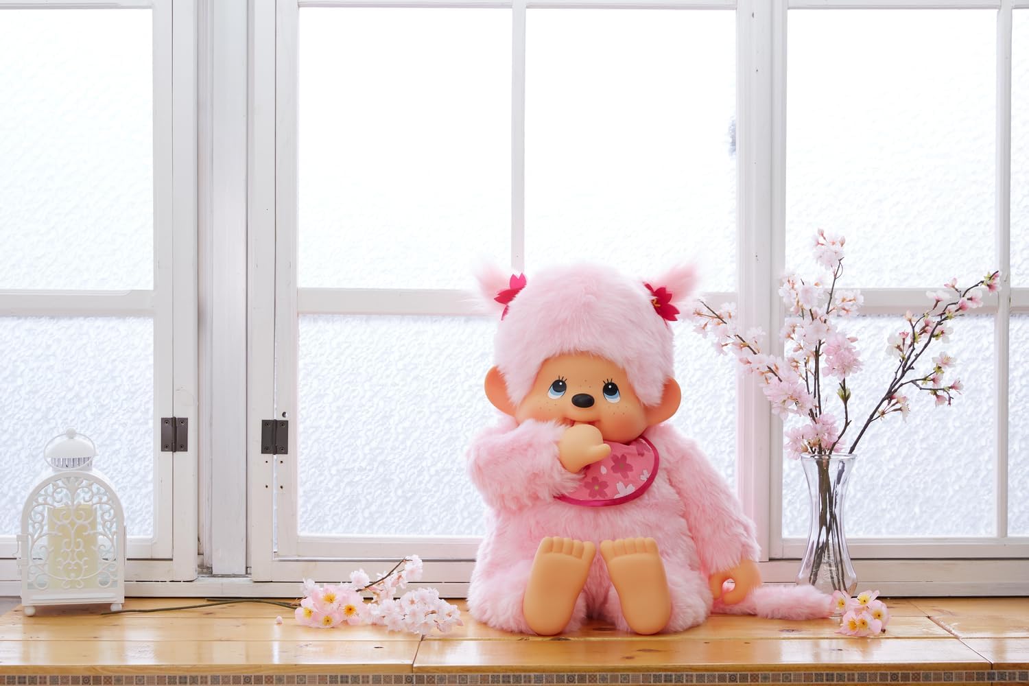 MONČIČÁCI JSOU ZPĚT!