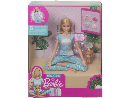 Mattel Barbie GNK01 Wellness jogínka 5 meditací