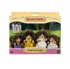 Sylvanian Families Rodina ježků 4018