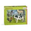 Schleich 42385 Set domácí zvířátka