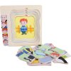Legler 4341 dřevěné puzzle - Životní vývoj muže