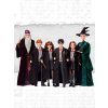 Mattel FYM51 - Harry Potter Hermiona panenka