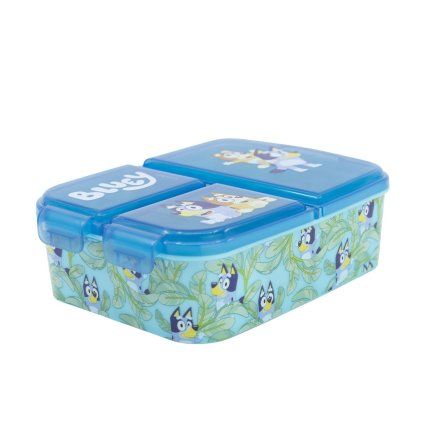 multi compartment sandwich box bluey