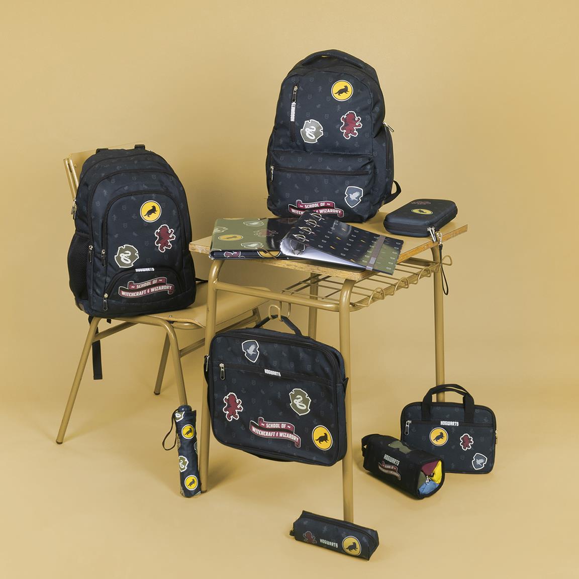 Obal na Nintendo Harry Potter