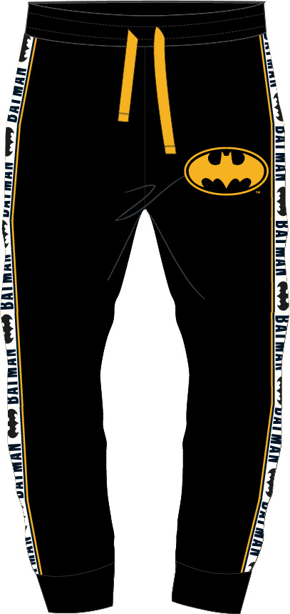Tepláky Batman II Veľkosť: 104