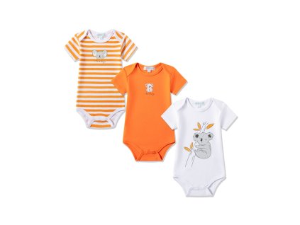 0017995 bodies 3 a 24 meses