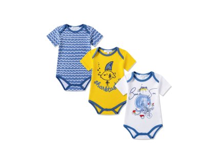 0017981 bodies 3 a 24 meses